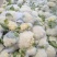松花菜散花菜品质保证诚信经营物美价廉量大从优