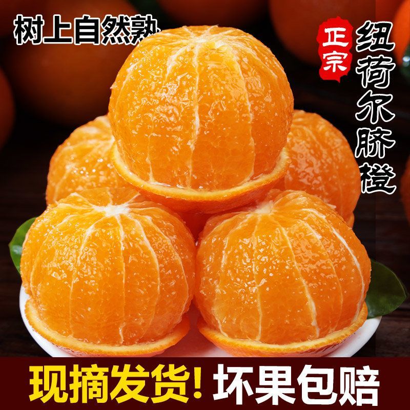 【一件代发】全网低价正宗纽荷尔脐橙赣南同品种批发