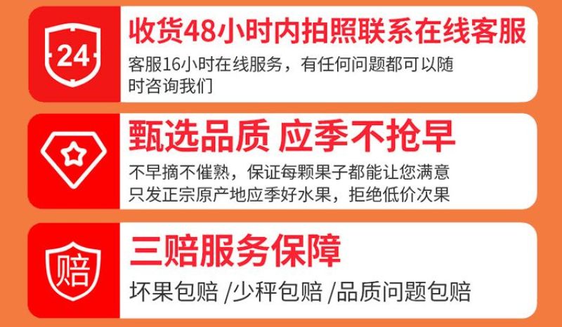 【一件代发】全网低价正宗纽荷尔脐橙赣南同品种批发