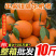 【一件代发】全网低价正宗纽荷尔脐橙赣南同品种批发