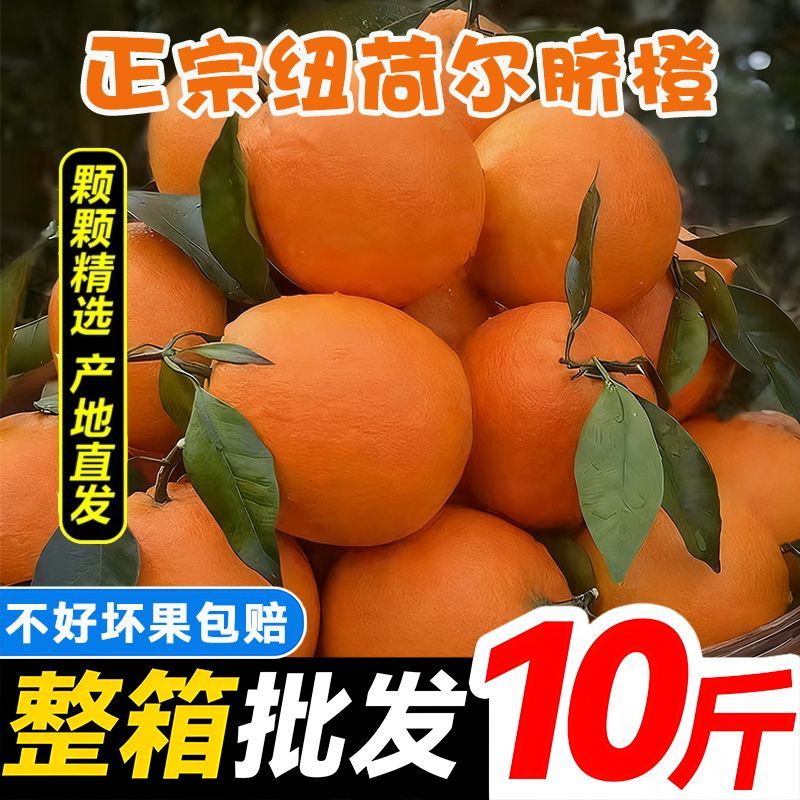【一件代发】全网低价正宗纽荷尔脐橙赣南同品种批发