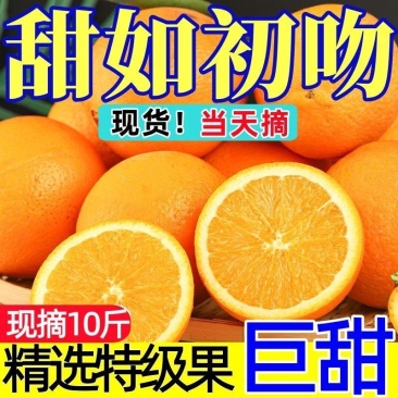 【一件代发】跑量电商货全网低价脐橙橙子批发直播