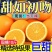 【一件代发】跑量电商货全网低价脐橙橙子批发直播