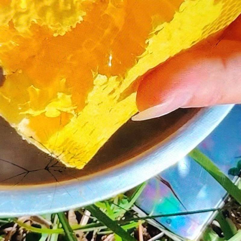 土生土长的土蜂蜜