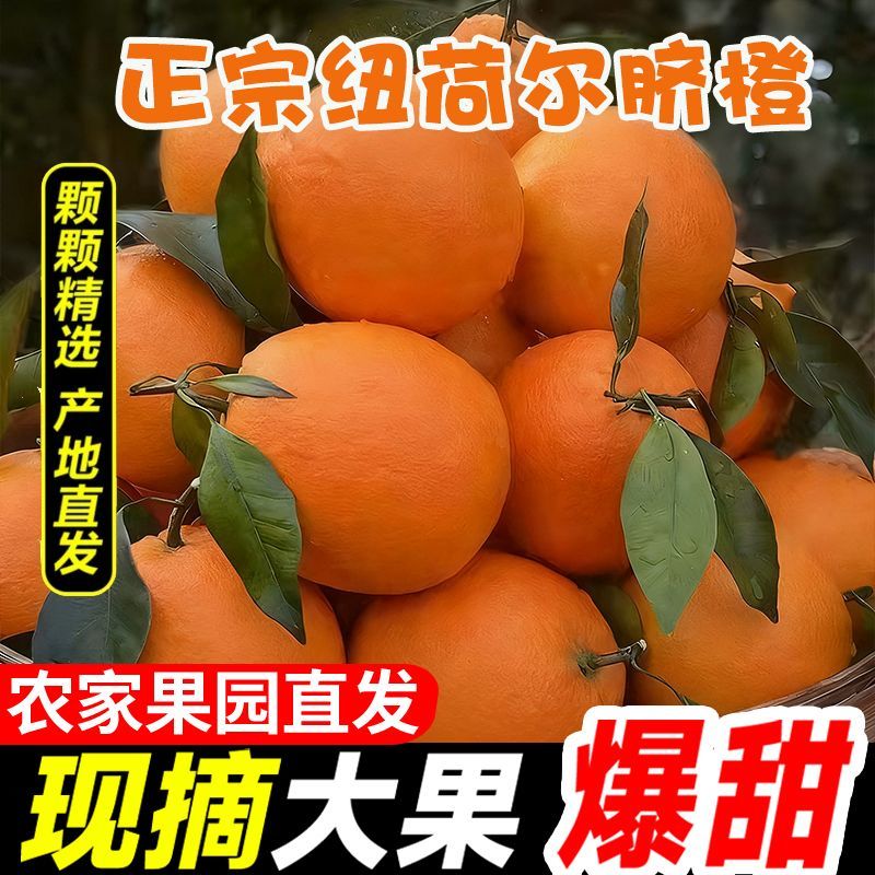 【一件代发】跑量电商货全网低价脐橙橙子批发直播