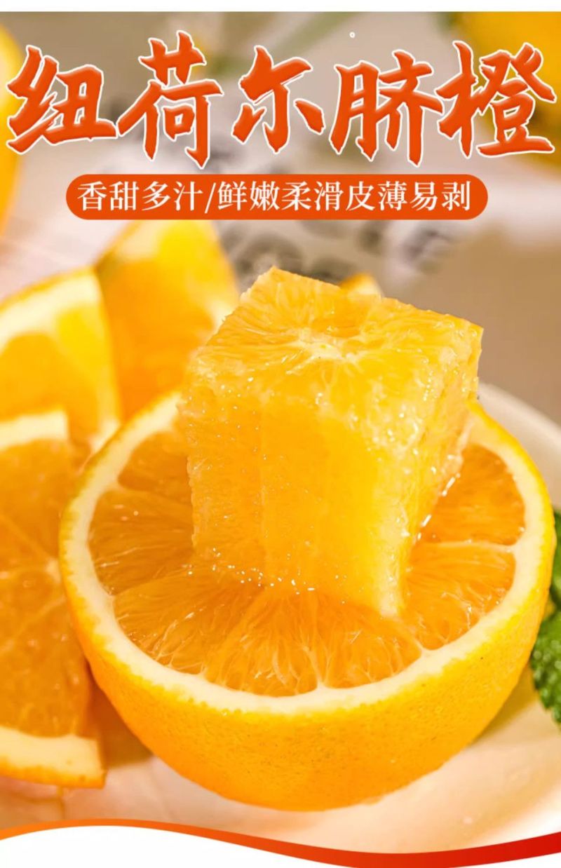【一件代发】跑量电商货全网低价脐橙橙子批发直播