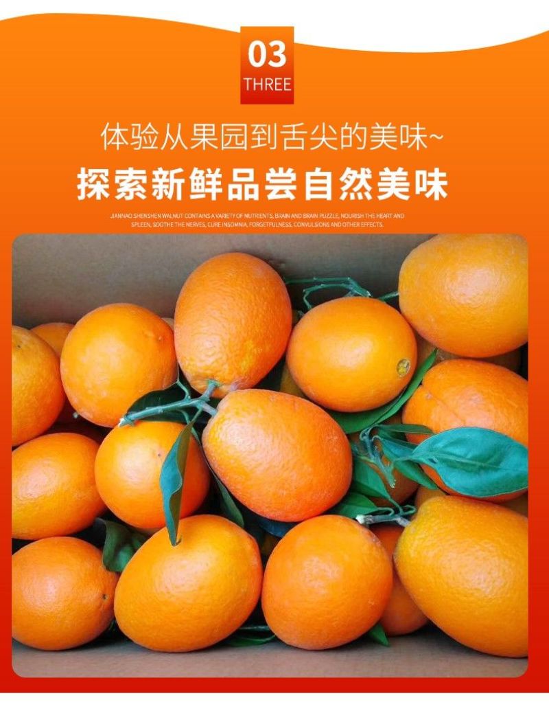 【一件代发】跑量电商货全网低价脐橙橙子批发直播