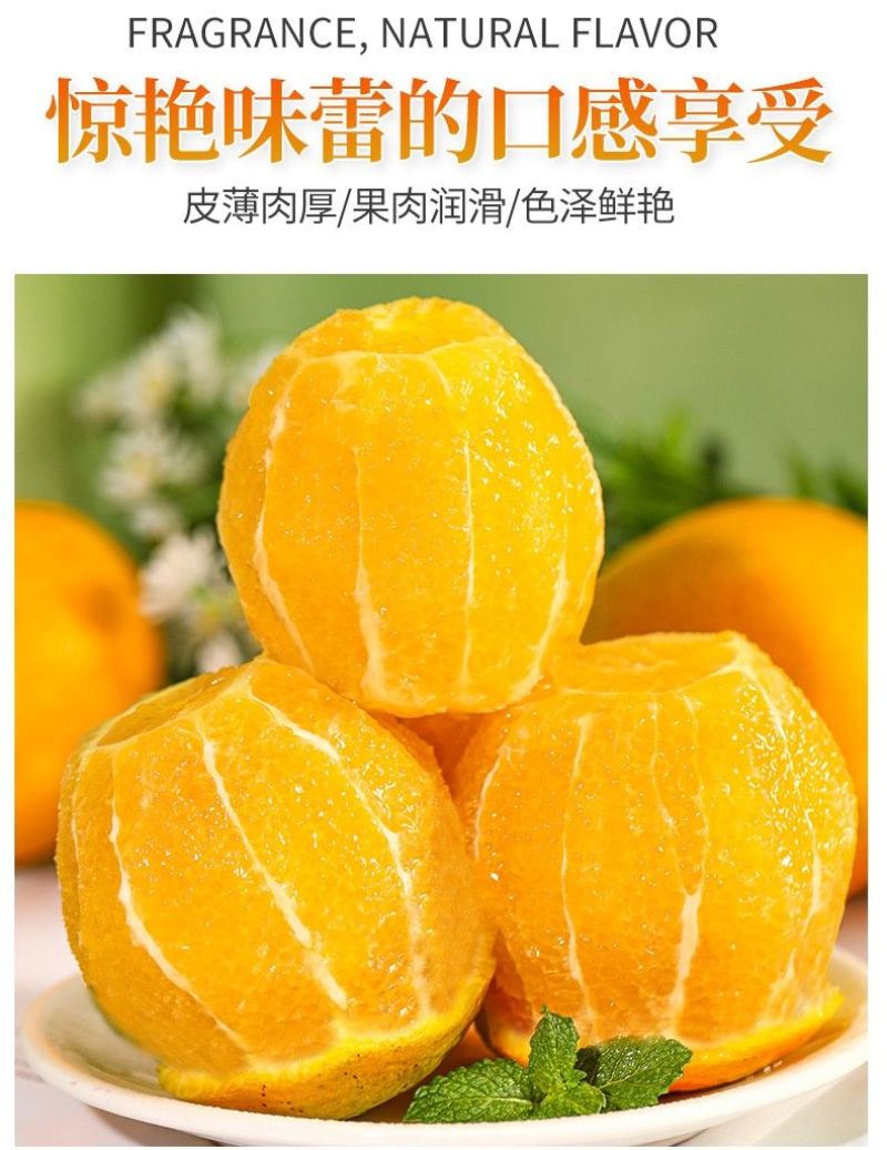 【一件代发】跑量电商货全网低价脐橙橙子批发直播