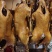 【卤味】