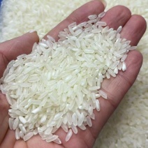 东北一级精品长粒香大米厂家直供货源稳定