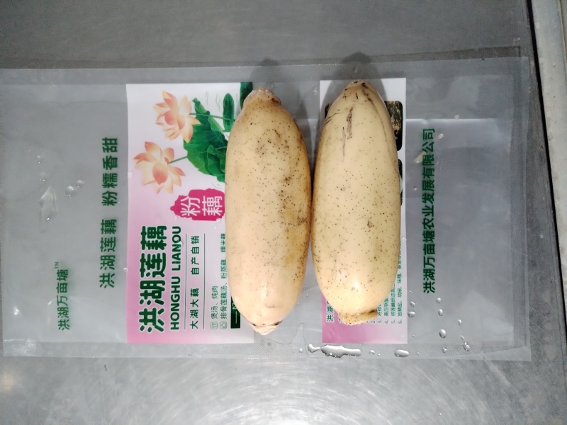 洪湖莲藕彩袋更显品质万亩塘藕基地欢迎来电咨询