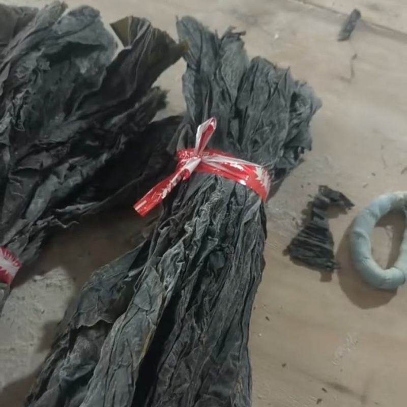 海带海带中段海带干中段海带40-60cm中间海带产地直接