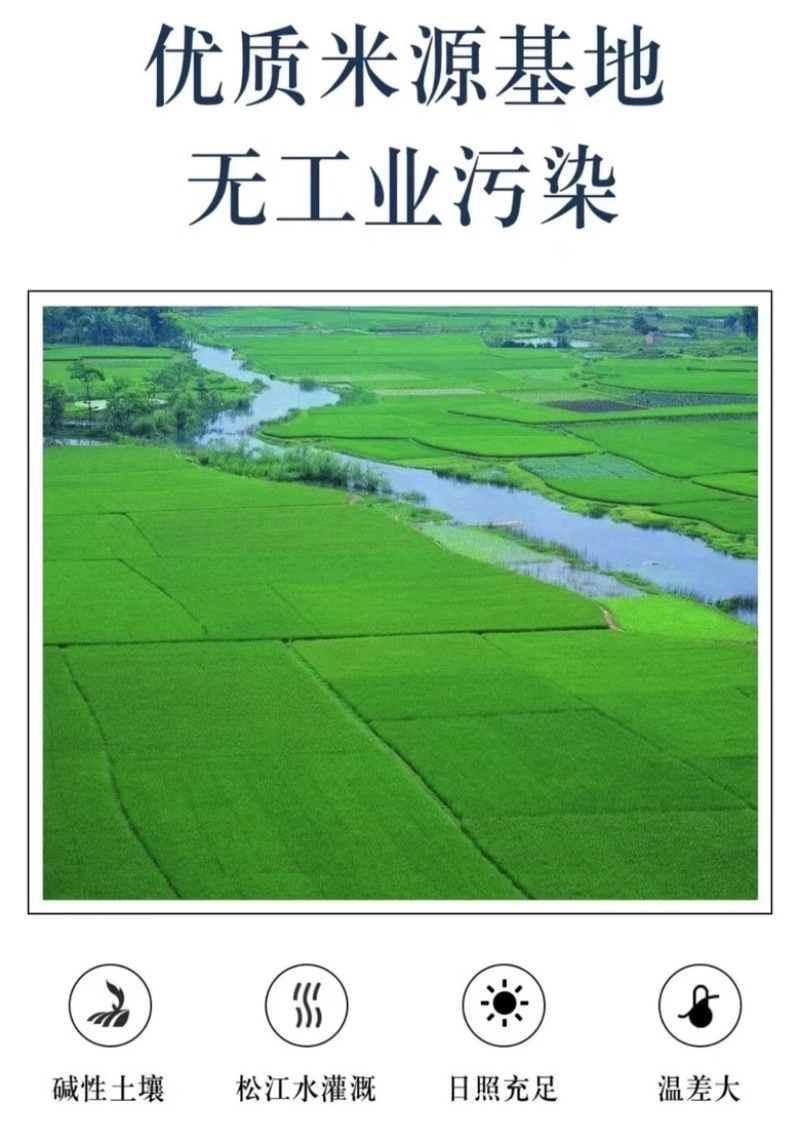 东北大米长粒香大米一手货源现货直发量大从优全国发货