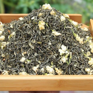 茉莉花小白芽