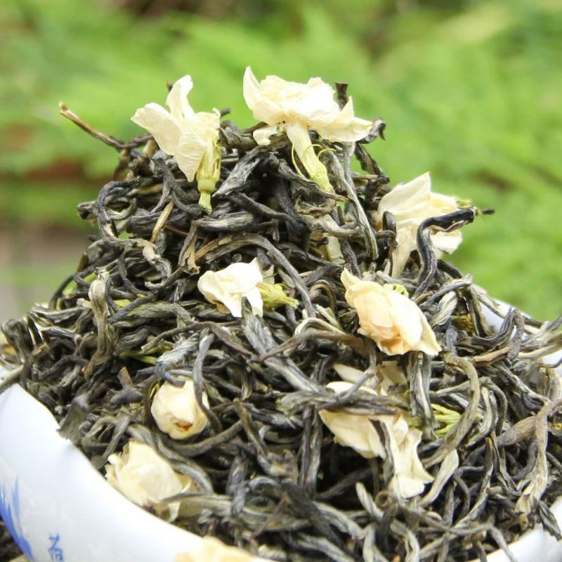 茉莉花小白芽