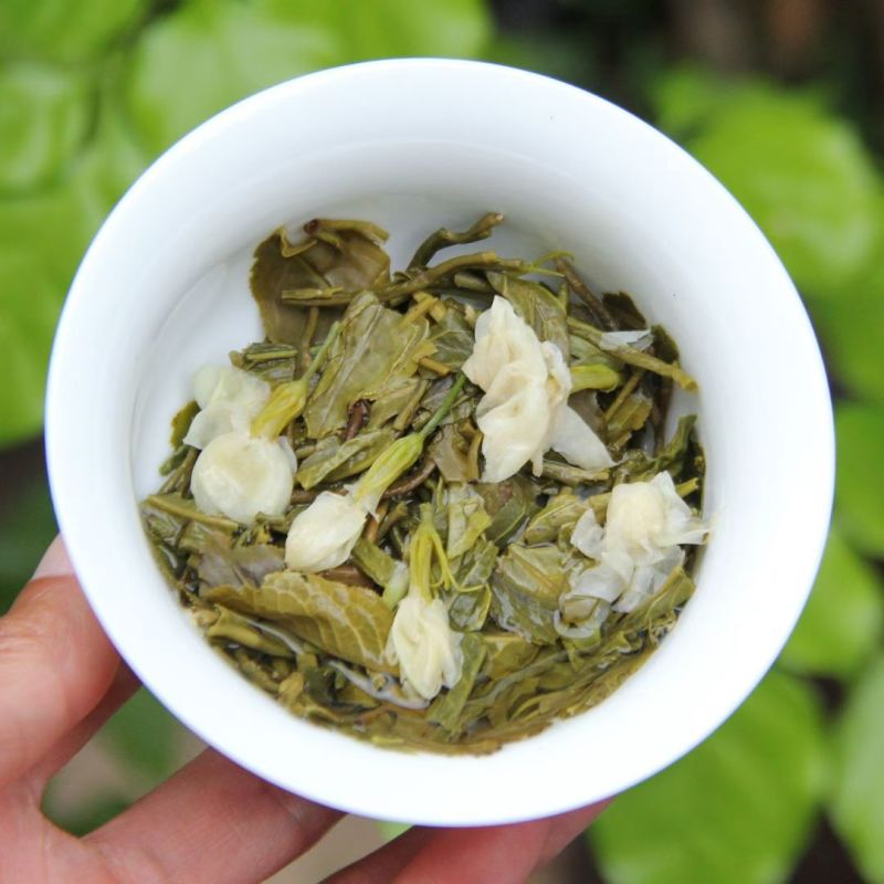 茉莉花小白芽