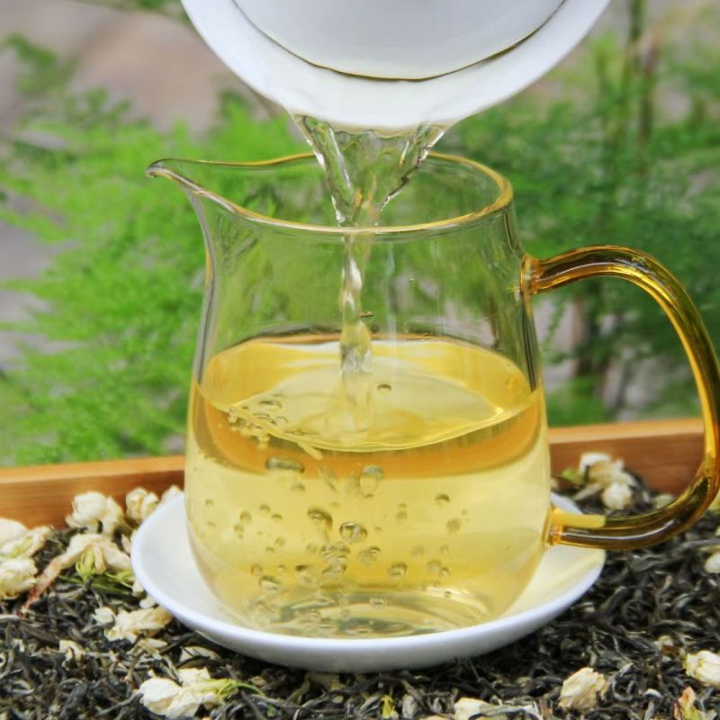 茉莉花小白芽