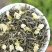 茉莉花小白芽