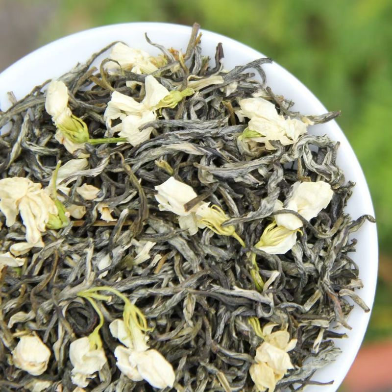 茉莉花小白芽