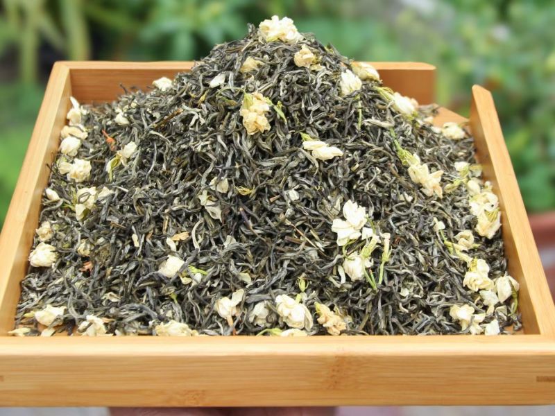 茉莉花小白芽
