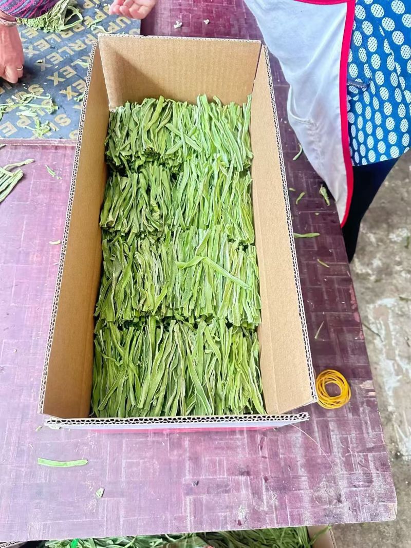 2.5公分贡菜干到15公分的长年供应