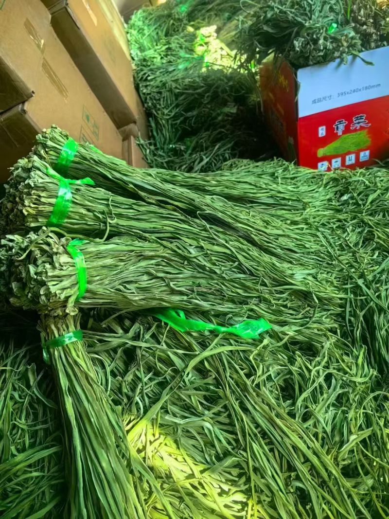 精品贡菜干大量供应，量大从优，诚信经营，欢迎咨询