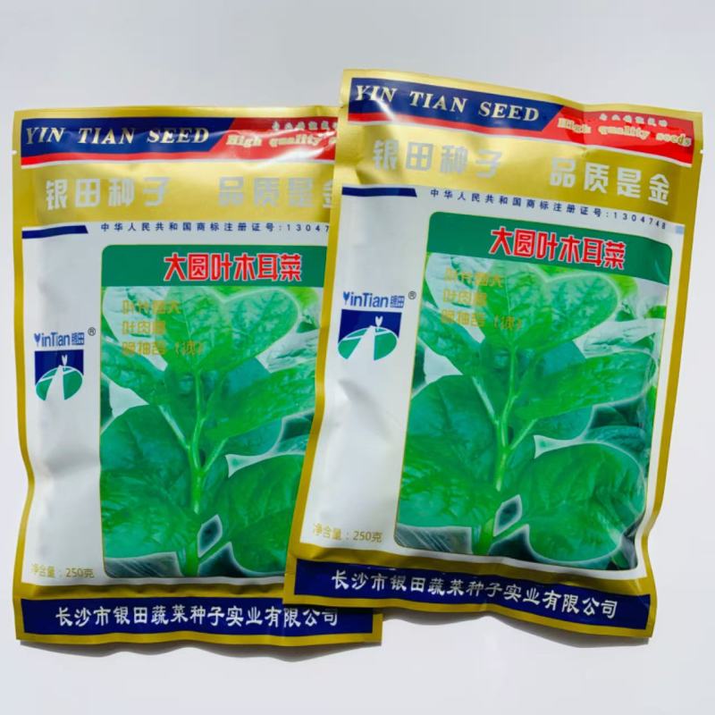 木耳菜种子大圆叶木耳菜种子