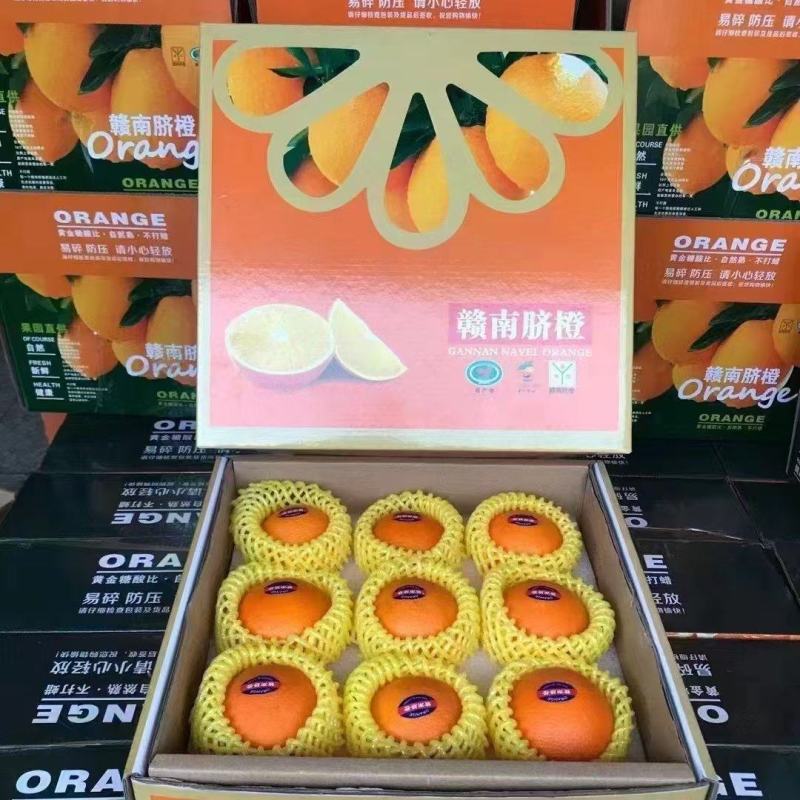 【赣州铜仁两仓发货】赣南赣县脐橙【一件代发可指定仓】
