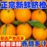 【赣州铜仁两仓发货】赣南赣县脐橙【一件代发可指定仓】