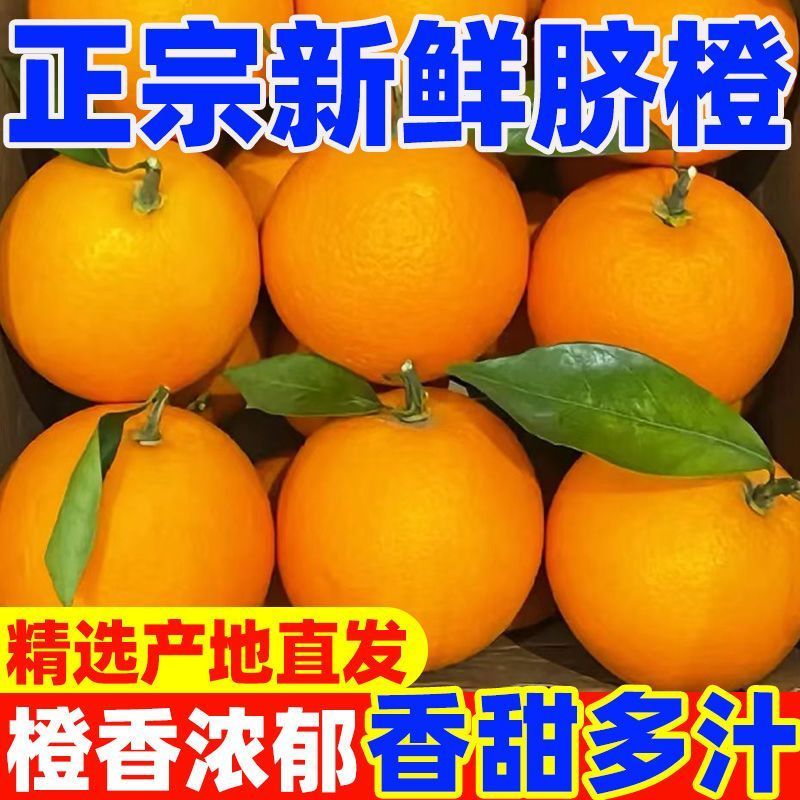 【赣州铜仁两仓发货】赣南赣县脐橙【一件代发可指定仓】
