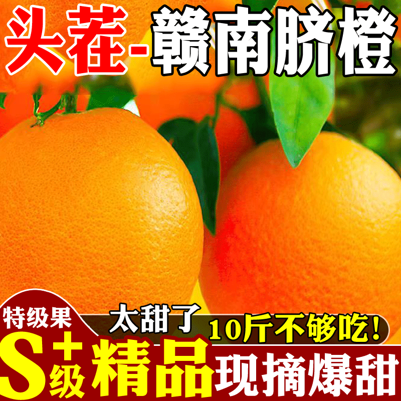 【赣州铜仁两仓发货】赣南赣县脐橙【一件代发可指定仓】
