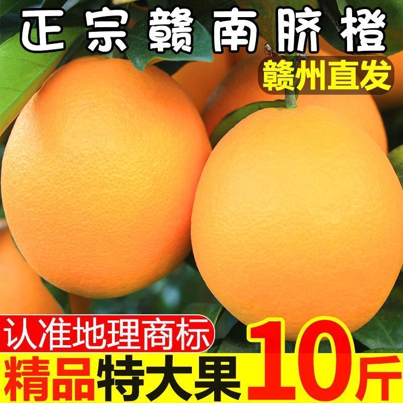【赣州铜仁两仓发货】赣南赣县脐橙【一件代发可指定仓】