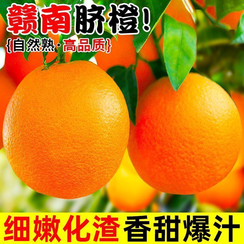 【赣州铜仁两仓发货】赣南赣县脐橙【一件代发可指定仓】