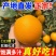 【赣州铜仁两仓发货】赣南赣县脐橙【一件代发可指定仓】