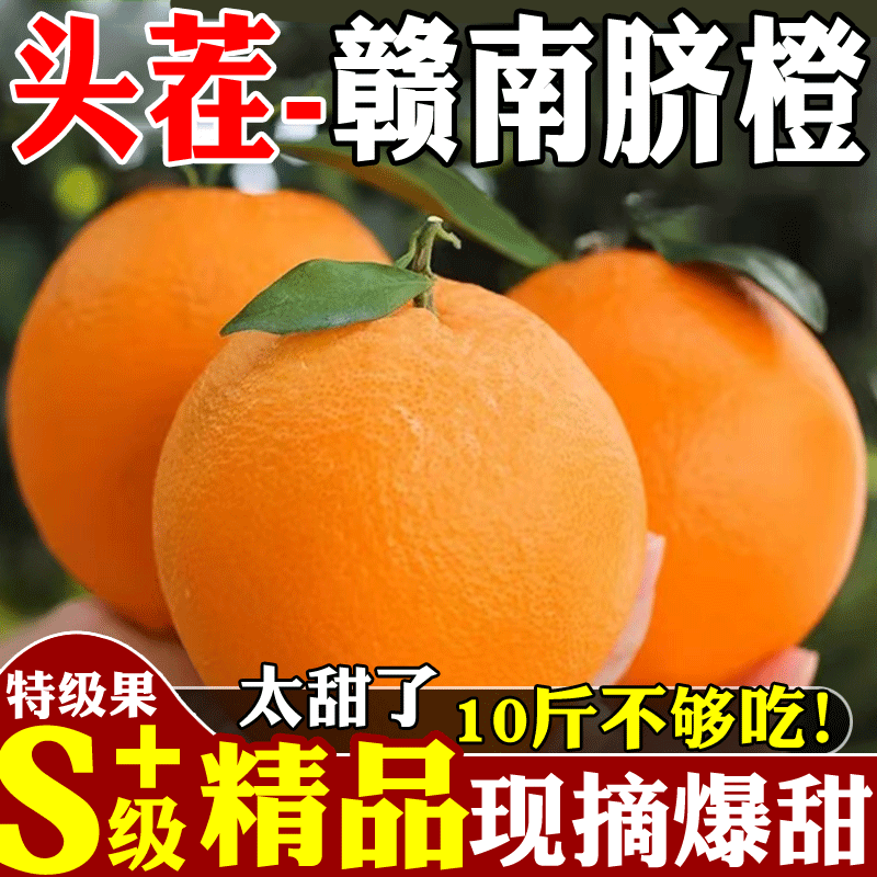【赣州铜仁两仓发货】赣南赣县脐橙【一件代发可指定仓】