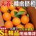 【赣州铜仁两仓发货】赣南赣县脐橙【一件代发可指定仓】