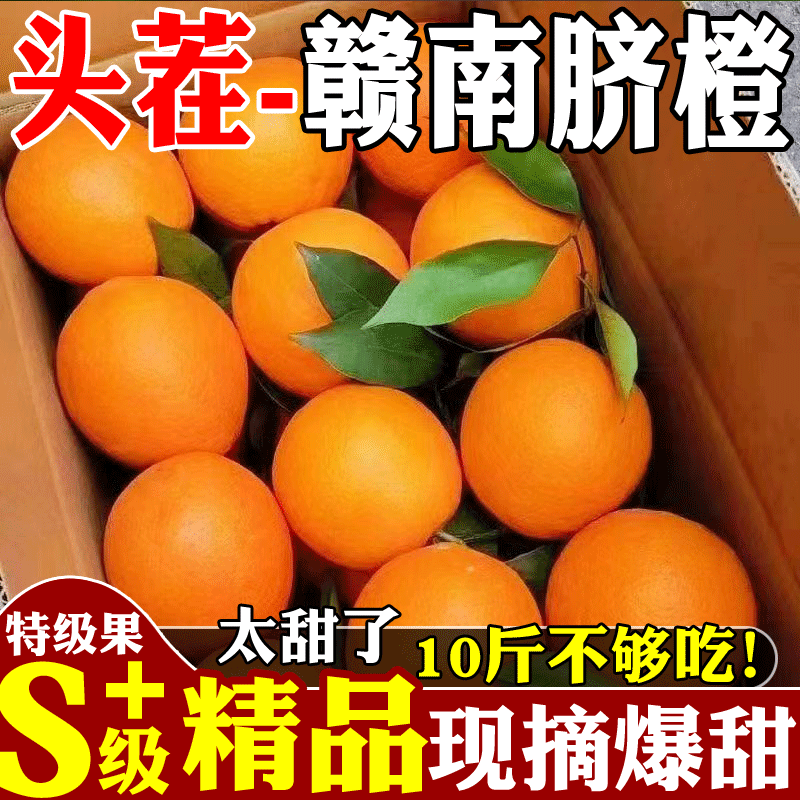 【赣州铜仁两仓发货】赣南赣县脐橙【一件代发可指定仓】