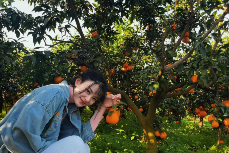 湖北小叶蜜橘皮薄多汁入口化渣货源充足