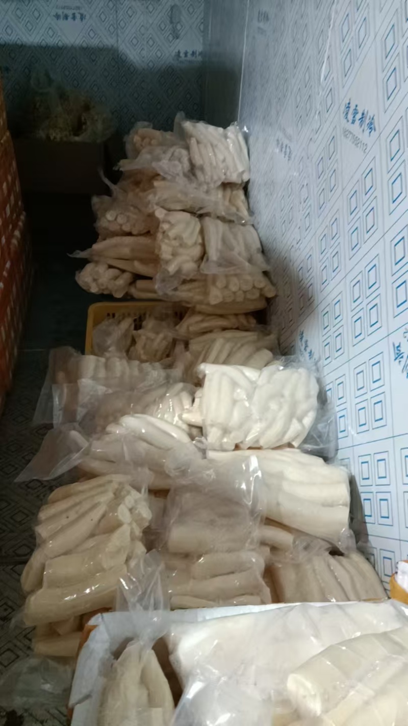 华南九号黄心木薯货源充足量大从优质量保证欢迎咨询