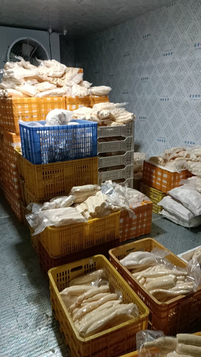 精品黄心木薯货源充足量大从优质量保证产地供应诚信经