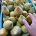 云南蛋黄果