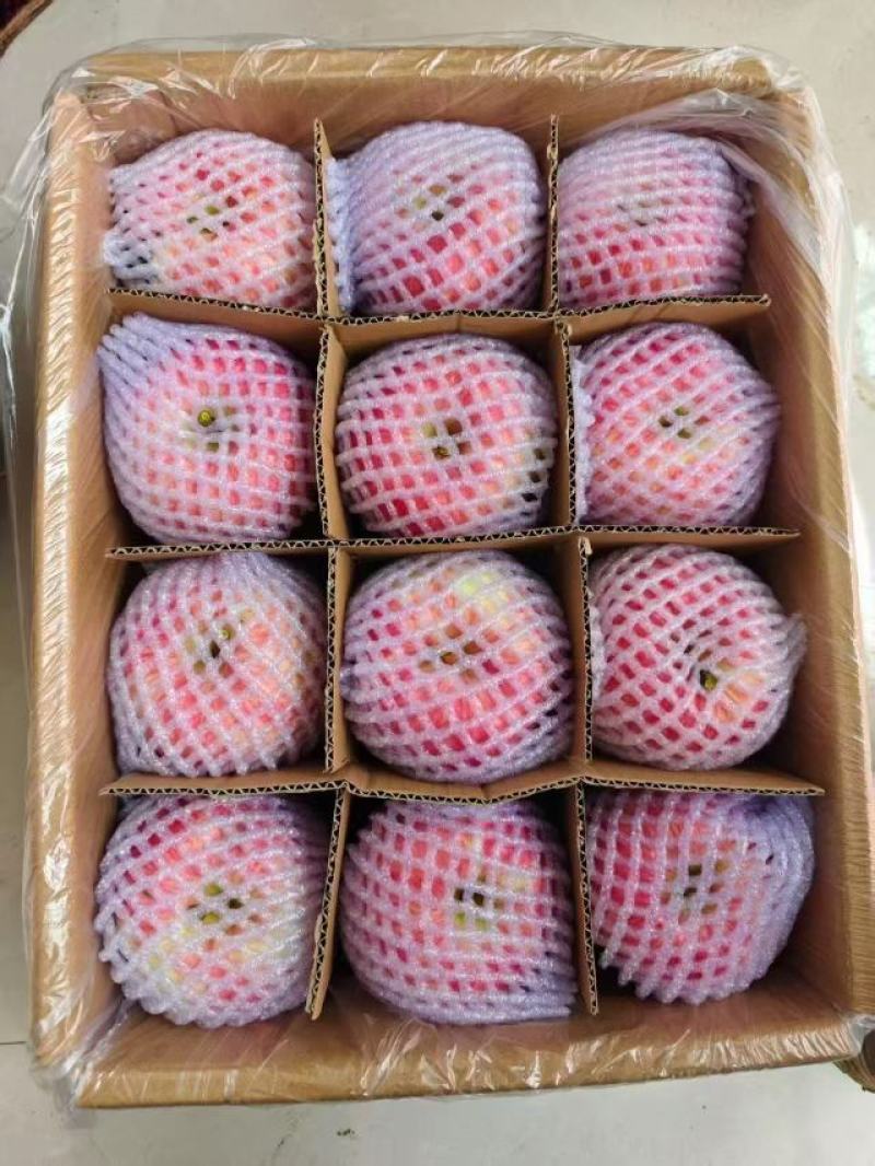 精品果