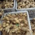河南伏牛山松叶细叶姜形黄精鲜货种茎芽头通货选货味甜
