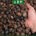 大量批发野生茶油食用油茶籽茶枯饼头道茶粕只做批发不零售