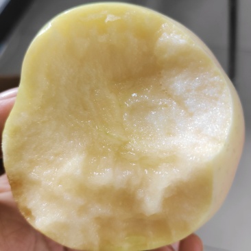 自家果园红富士