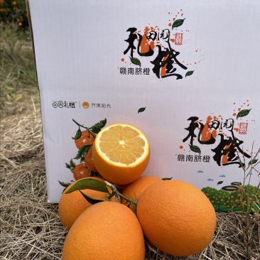 赣南脐橙