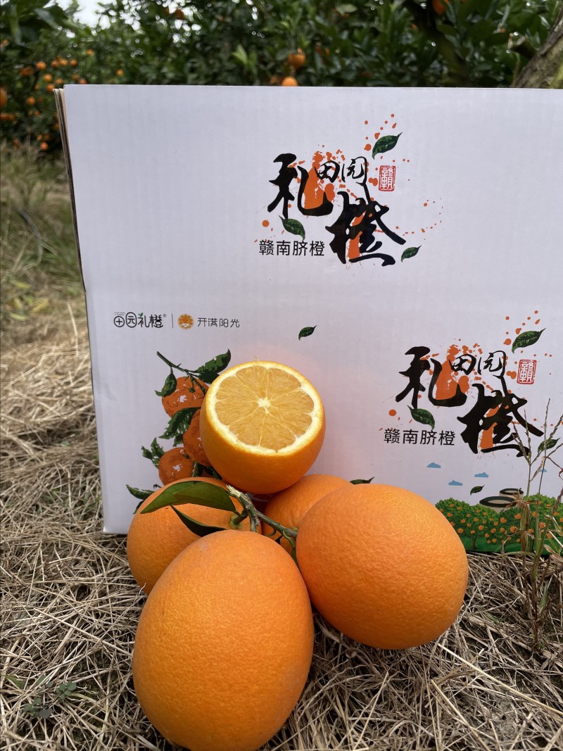 赣南脐橙