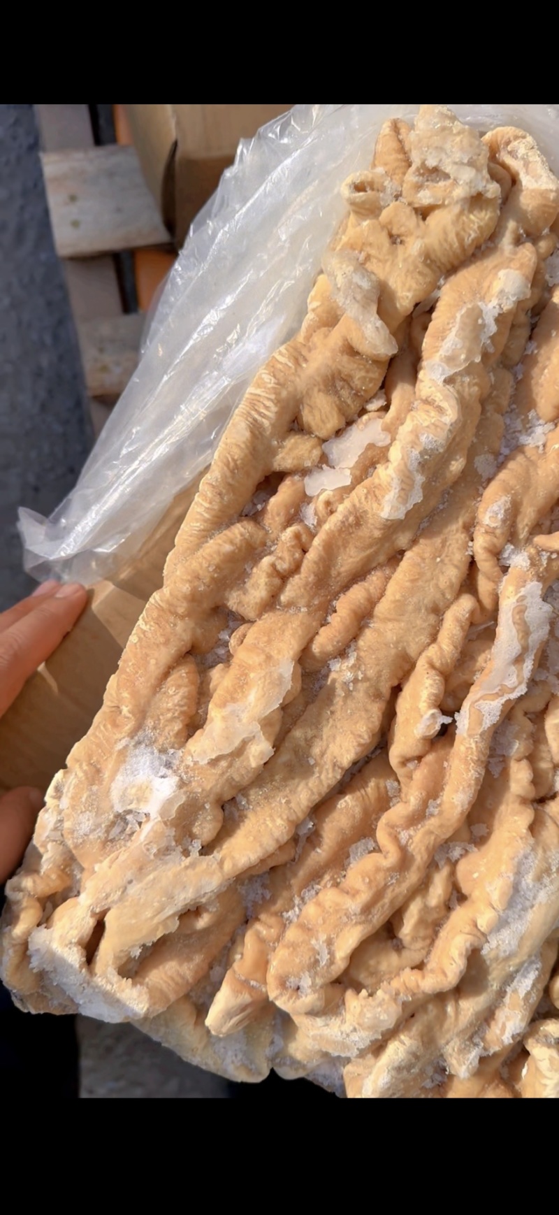 肥猪一级预煮大肠诚信经营期待与您的合作