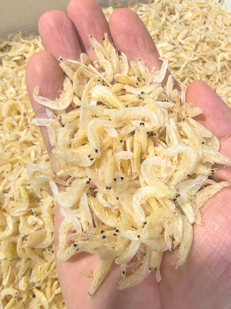 整箱淡干虾皮厂家批发海鲜虾皮制品干货补钙赶集摆摊跑江湖虾