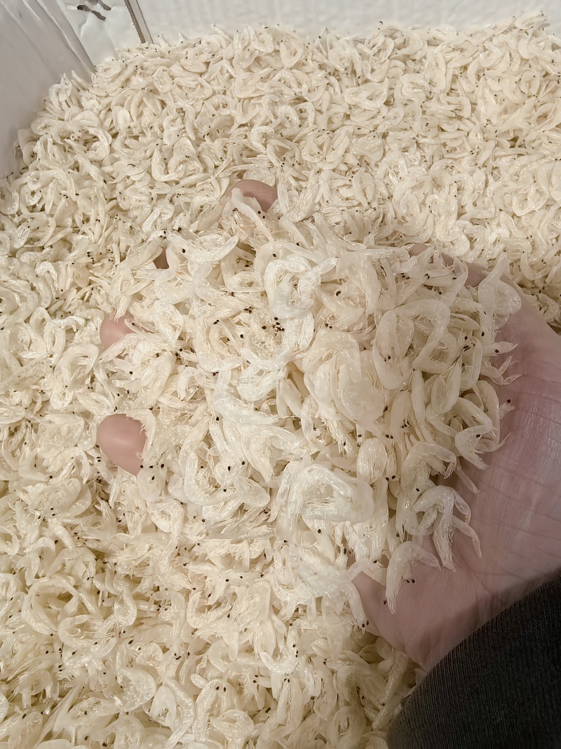 整箱淡干虾皮厂家批发海鲜虾皮制品干货补钙赶集摆摊跑江湖虾